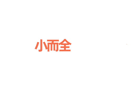 小而全