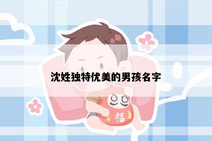 沈姓独特优美的男孩名字