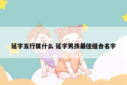延字五行属什么 延字男孩最佳组合名字