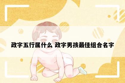 政字五行属什么 政字男孩最佳组合名字