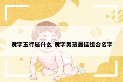 贤字五行属什么 贤字男孩最佳组合名字