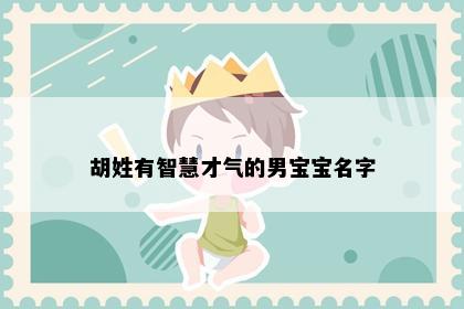 胡姓有智慧才气的男宝宝名字