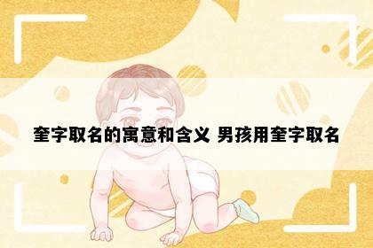 奎字取名的寓意和含义 男孩用奎字取名