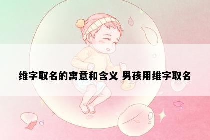维字取名的寓意和含义 男孩用维字取名