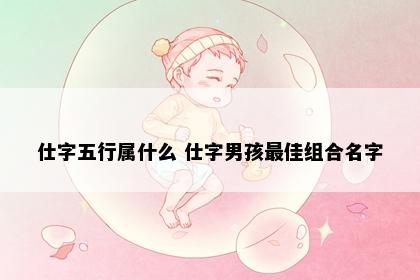 仕字五行属什么 仕字男孩最佳组合名字