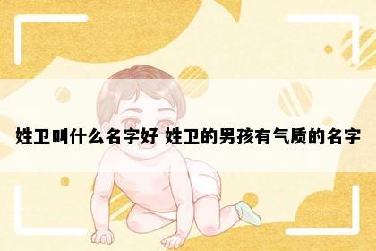 姓卫叫什么名字好 姓卫的男孩有气质的名字