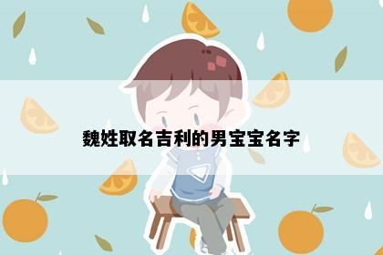 魏姓取名吉利的男宝宝名字