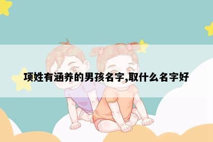 项姓有涵养的男孩名字,取什么名字好