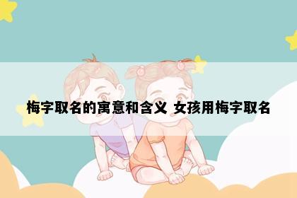 梅字取名的寓意和含义 女孩用梅字取名